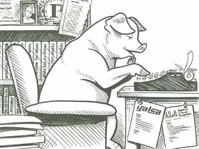 Pig typing cartoon