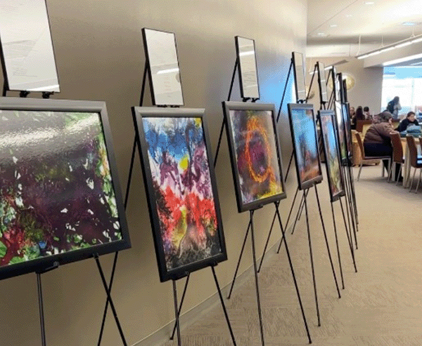 Displays by Ohuaya Collective