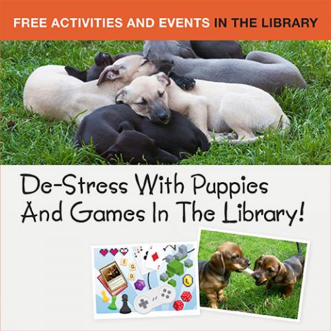 De-stress with puppies event poster.
