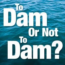 To Dam Or Not To Dam?